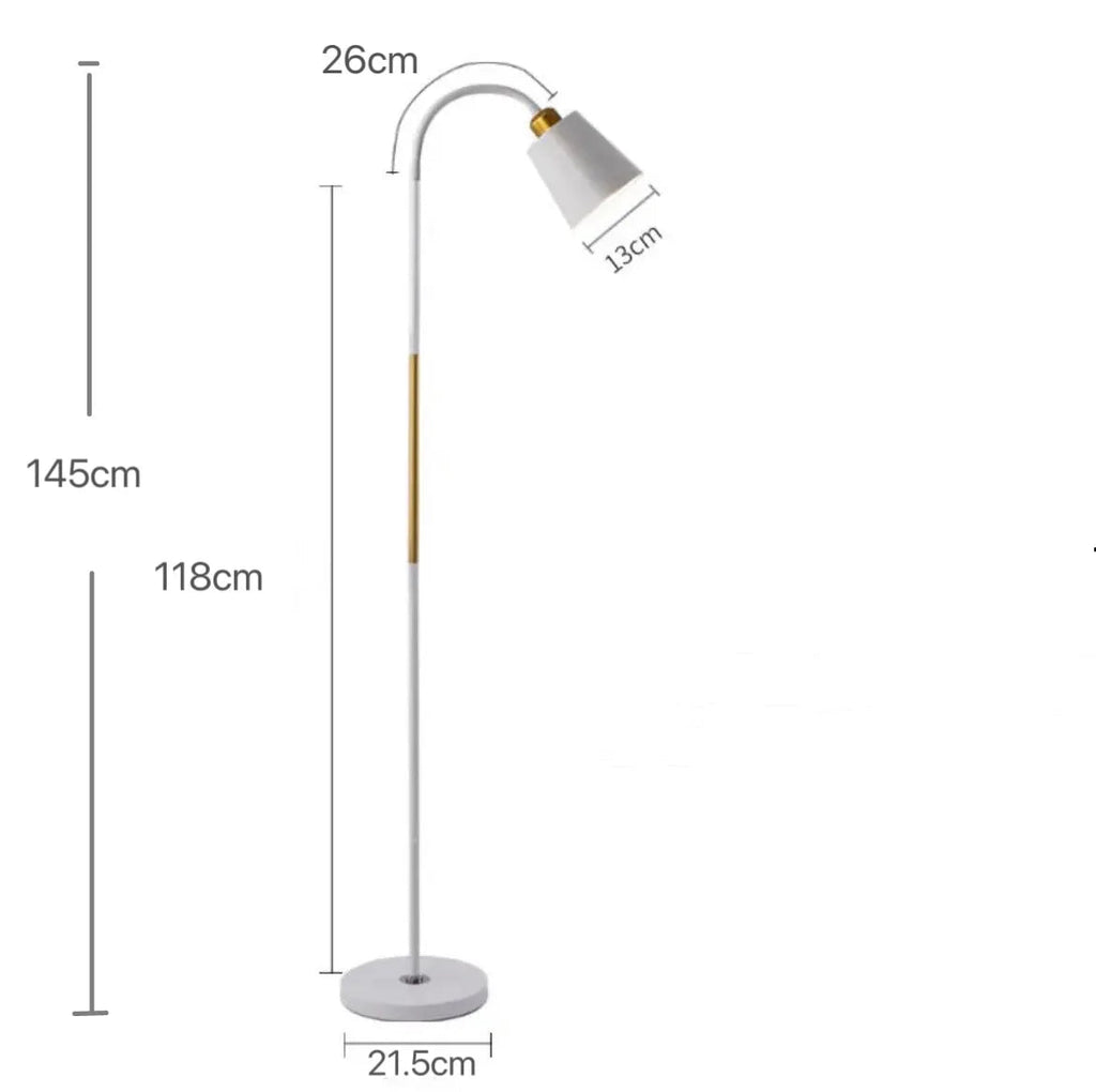 White floor lamp dimension chart showing 145cm height, 13cm shade, and 21.5cm base