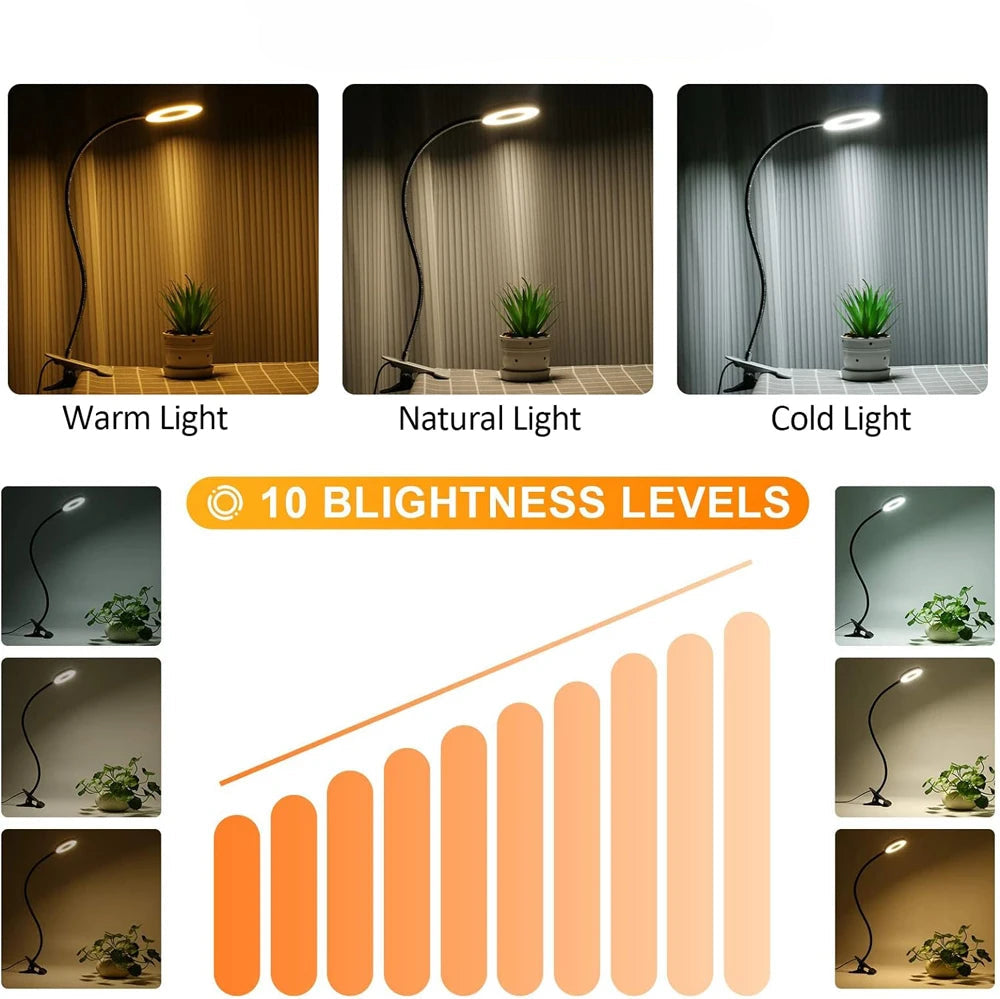 Lighting fixture with 3 color modes and 10 brightness levels displayed.