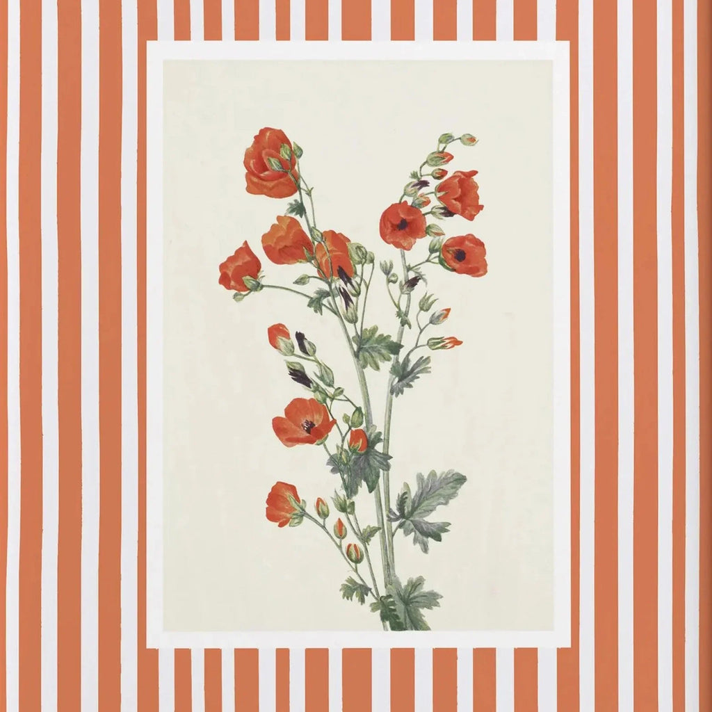Red poppy floral print with terracotta striped border