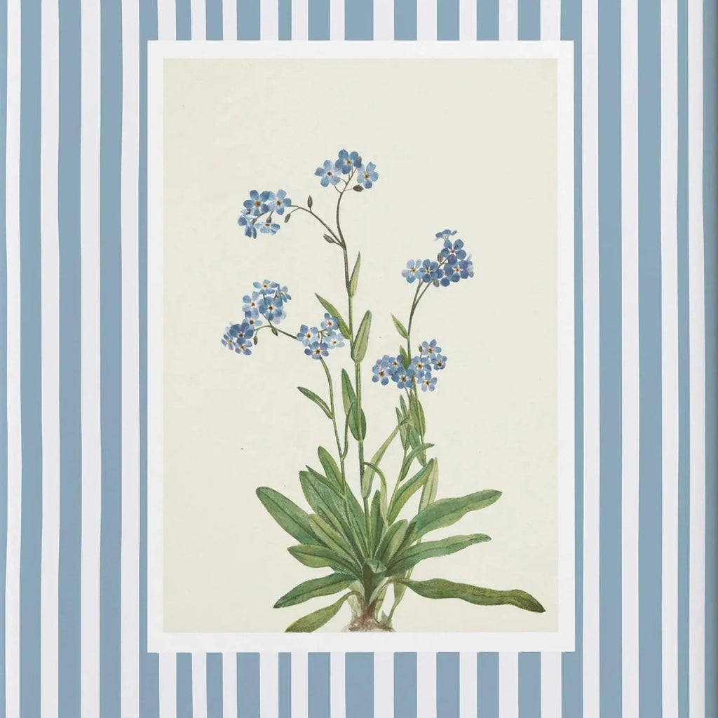 Vintage blue forget-me-not botanical print with blue striped border
