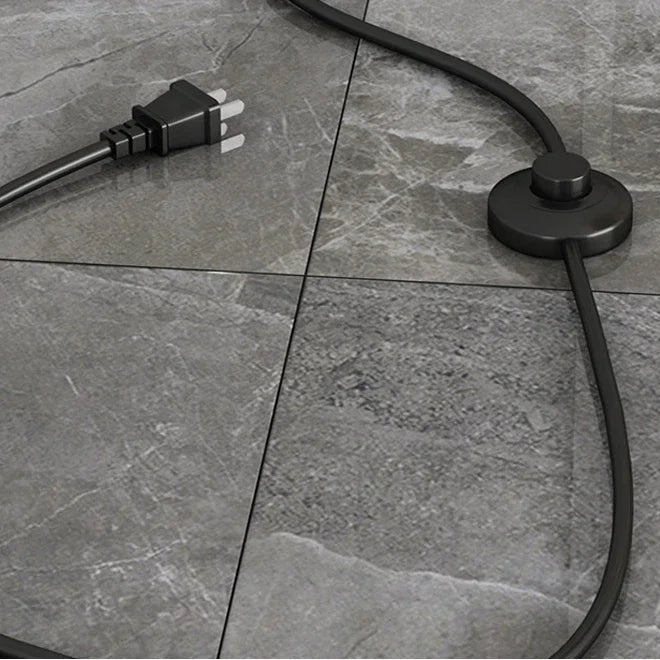 Close-up of the foot switch on the floor lamp cable