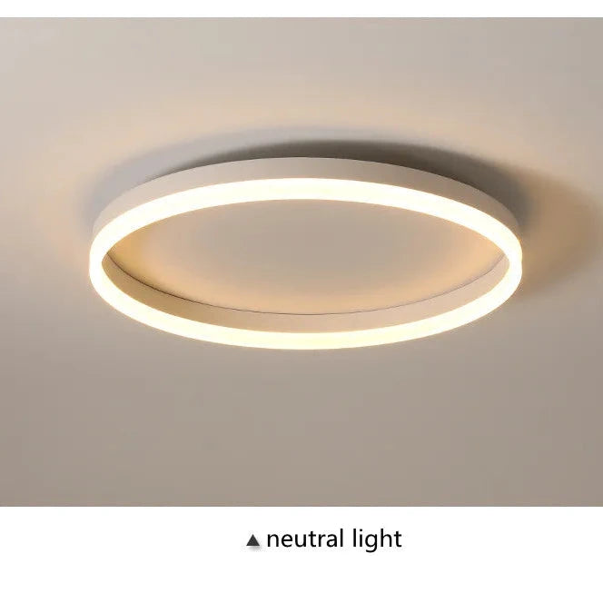 Ceiling light fixture on a neutral background with 'neutral light' text