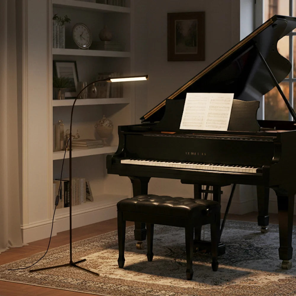 Grand piano in a room with a lamp and shelves.