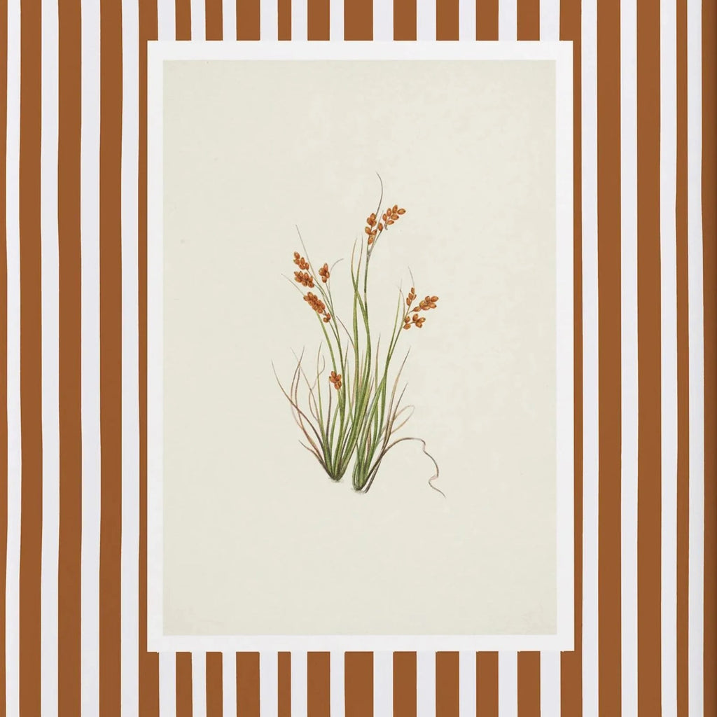 Autumn meadow grass botanical print with caramel stripe background