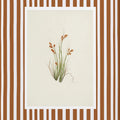 Autumn meadow grass botanical print with caramel stripe background