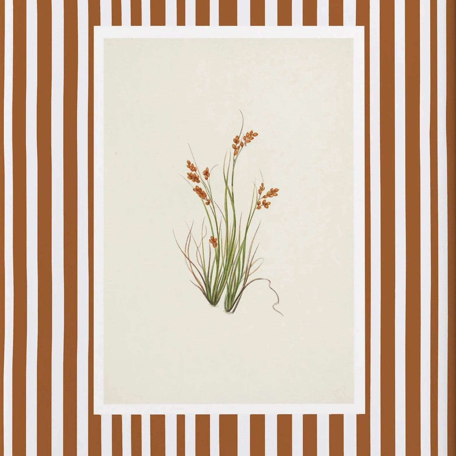 Autumn meadow grass botanical print with caramel stripe background