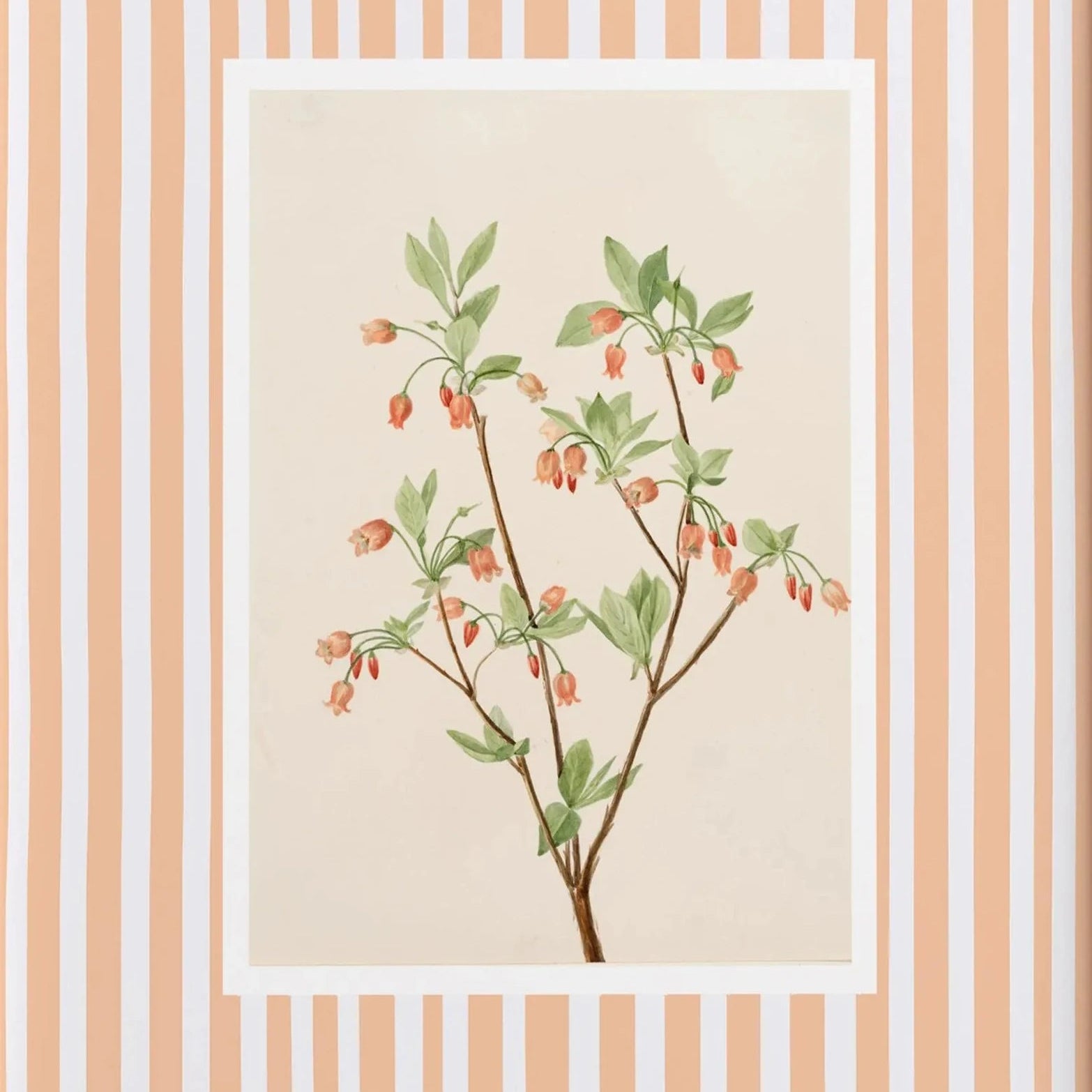 Peach blossom branch botanical wall art with peach stripe frame