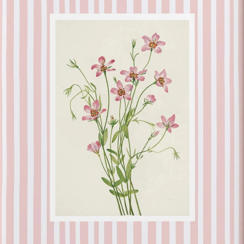Pink wildflower botanical wall art with blush stripe background