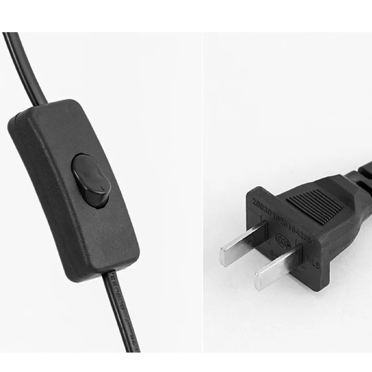 Close-up of the black inline on-off switch and AC power plug for the floor lamp