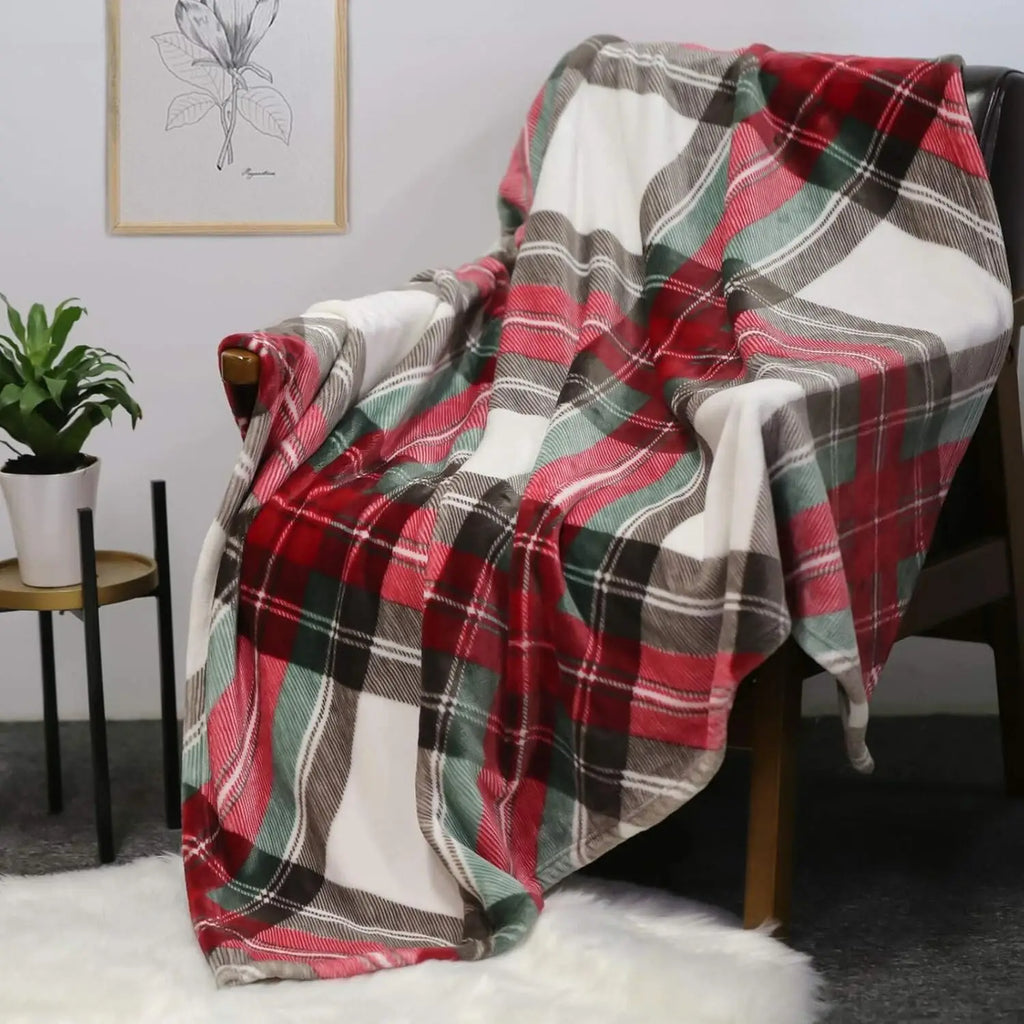 Red plaid blanket draped over a chair in a cosy room with a plant and a framed picture.