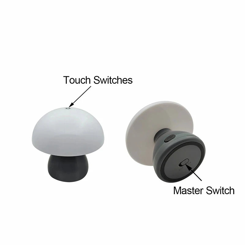 Two light switches with labeled touch switches and master switch on a white background
