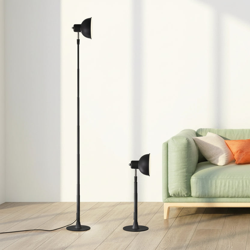 Floor lamp displayed in a living room setting.