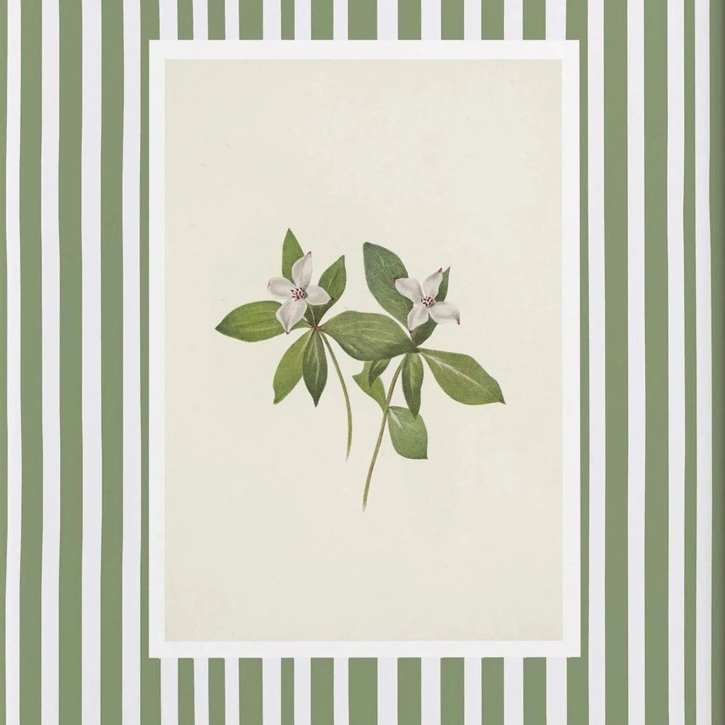 White woodland flower print with sage green striped border