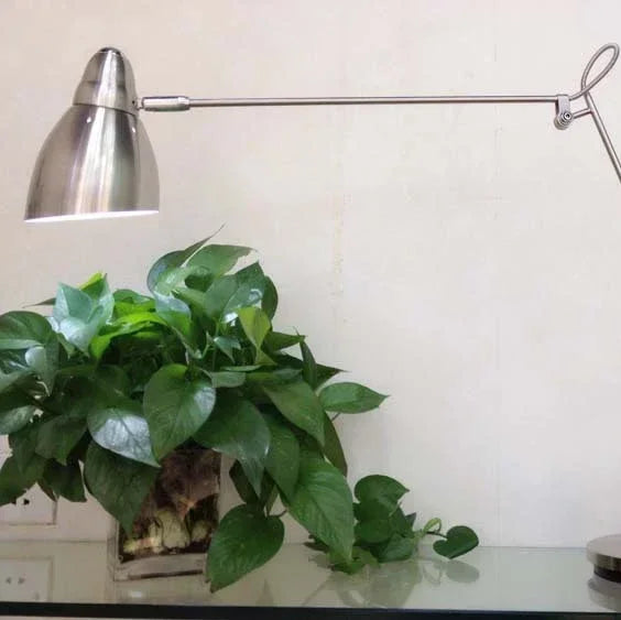 Adjustable aluminium desk lamp with long arm, brushed nickel finish, 80cm height, 70cm reach, 19cm base