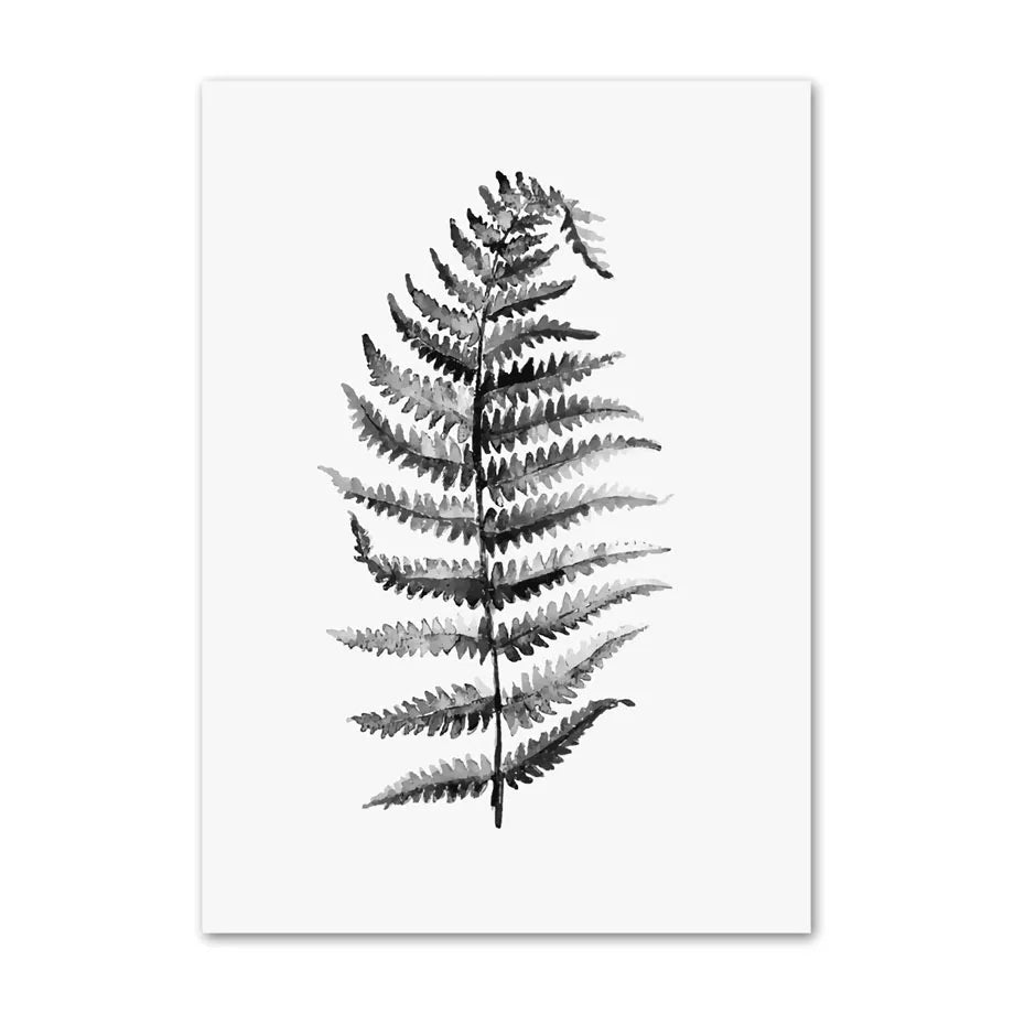 Black and white fern leaf illustration on a white background