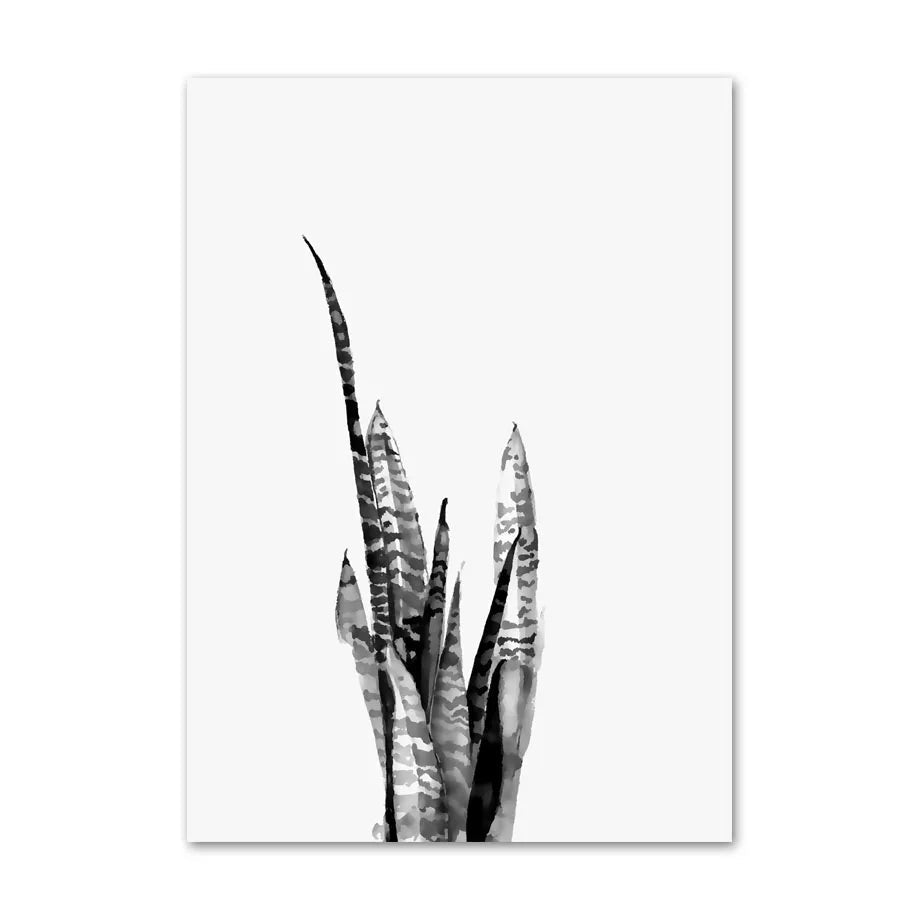 Black and white illustration of a plant on a white background