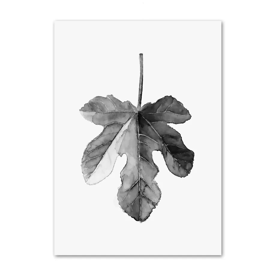 Black and white leaf illustration on a white background
