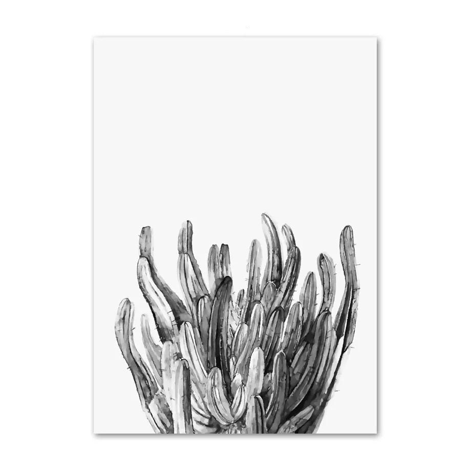 Black and white illustration of a cactus on a white background